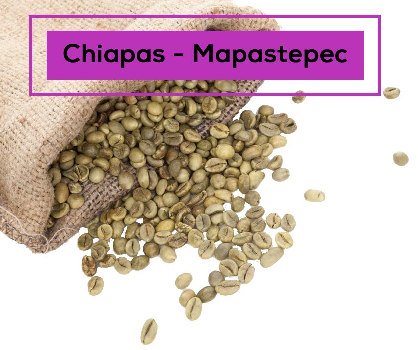 Café en Verde de Especialidad de Chiapas-Mapastepec.