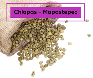 Café en Verde de Especialidad de Chiapas-Mapastepec.